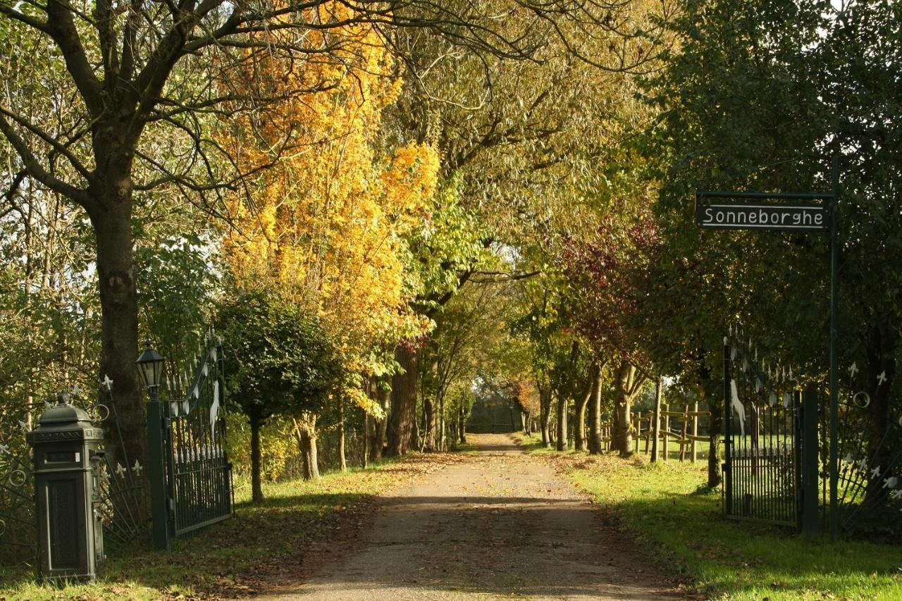 Vakantiehuisjes Landgoed Sonneborghe Kollumerzwaag Экстерьер фото