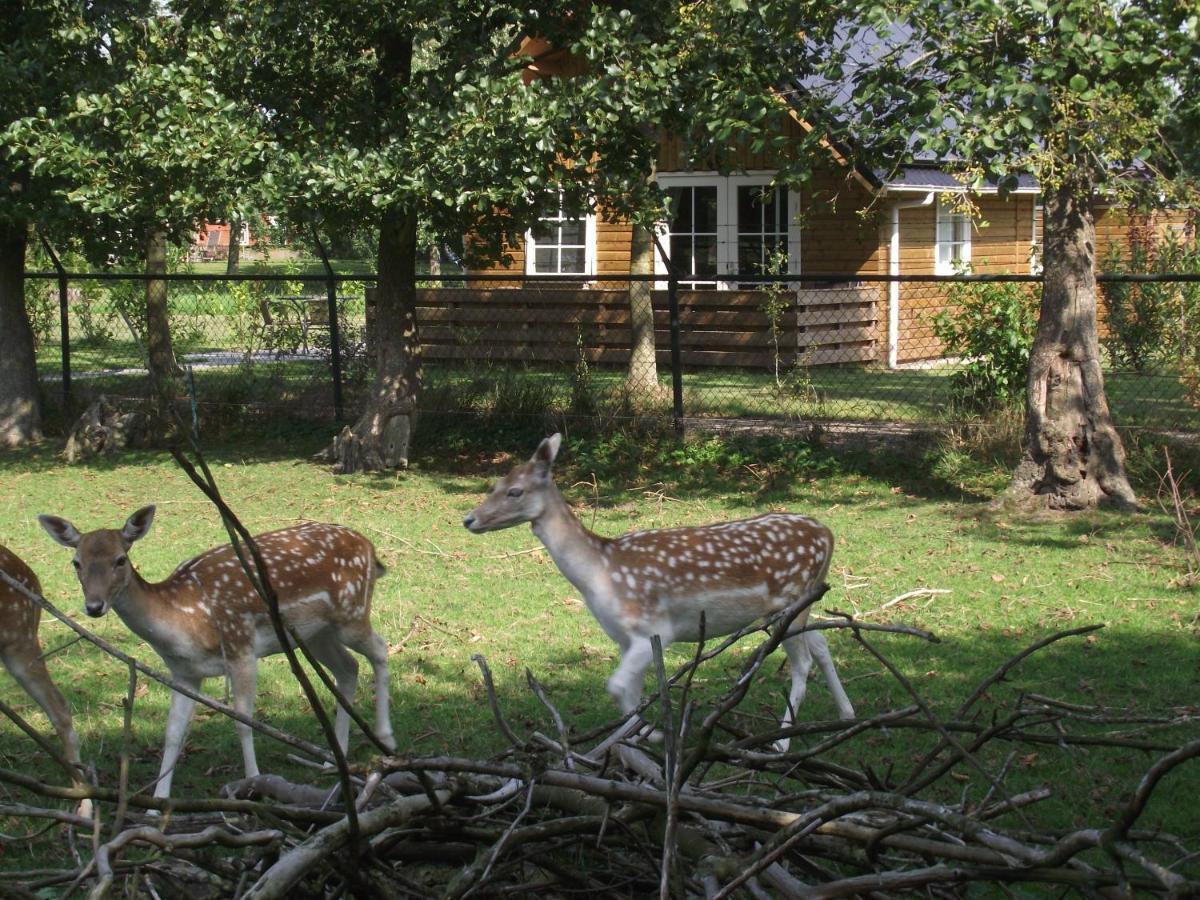 Vakantiehuisjes Landgoed Sonneborghe Kollumerzwaag Экстерьер фото